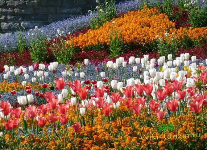 Kuća leptira na otoku Mainau Park