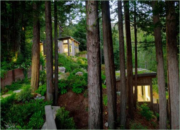 Šumski krajolik koji okružuje dvoetažnu drvenu kuću