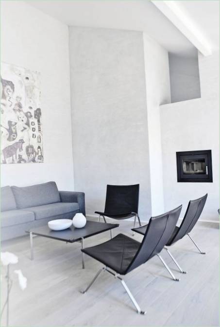 Dizajn interijera dnevne sobe u crno-bijeloj boji