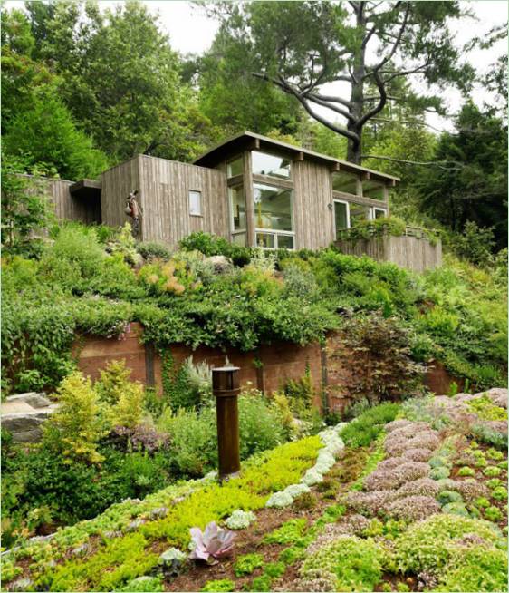 Drveni vanjski dio kuće okružen slikovitim šumskim krajolikom