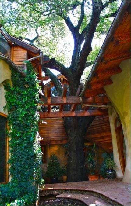 Stablo koje raste unutar kuće: deblo kao stupac-projekt 1