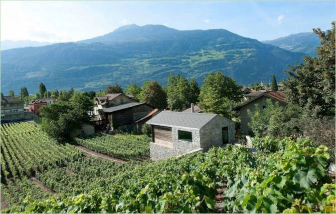 Vinogradi u seoskoj kući Germanir u Švicarskoj