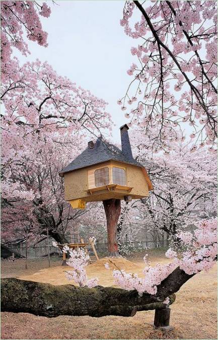 Čajna kućica na drvetu u Japanu